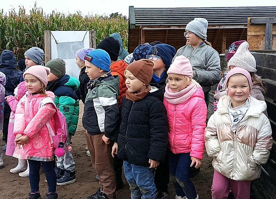 Grafika 1: Wycieczka Na Farmę Alexa