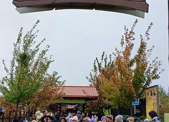 Grafika 11: Wycieczka Na Farmę Alexa