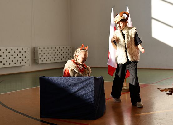 Grafika 10: Apel w ramach obchodów Narodowego Święta Niepodległości