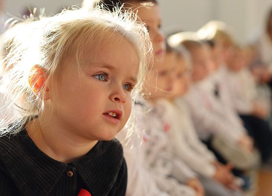 Grafika 12: Apel w ramach obchodów Narodowego Święta Niepodległości