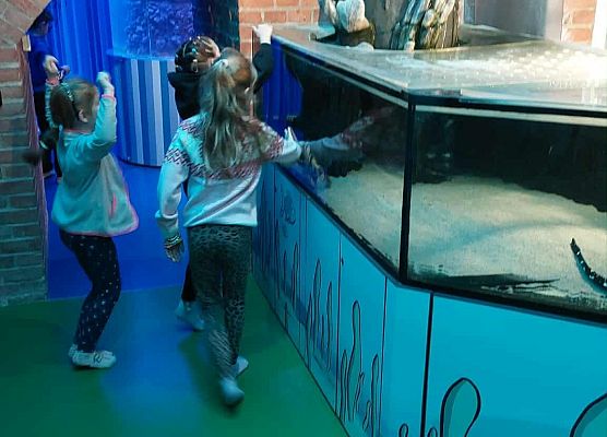 Wizyta klas 2-4 w Hevelianum w Gdańsku grafika