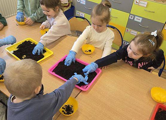 Grafika 12: Wiosenne sianie owsa w naszym przedszkolu