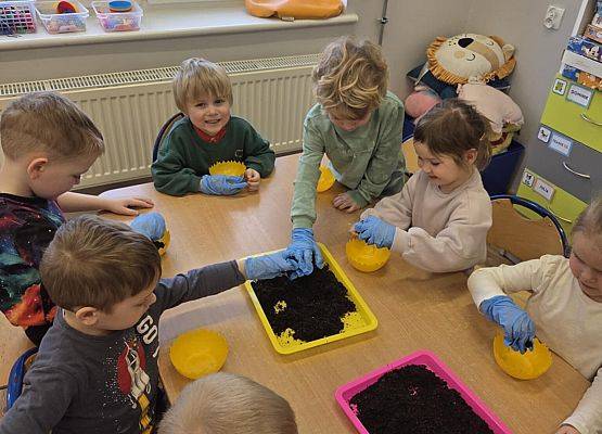 Grafika 13: Wiosenne sianie owsa w naszym przedszkolu