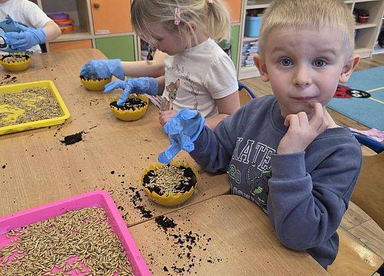 Grafika 2: Wiosenne sianie owsa w naszym przedszkolu