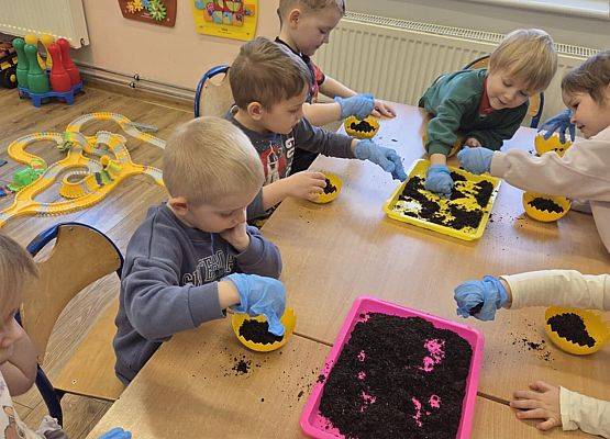 Grafika 9: Wiosenne sianie owsa w naszym przedszkolu