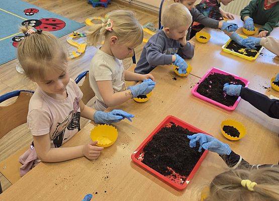 Grafika 10: Wiosenne sianie owsa w naszym przedszkolu