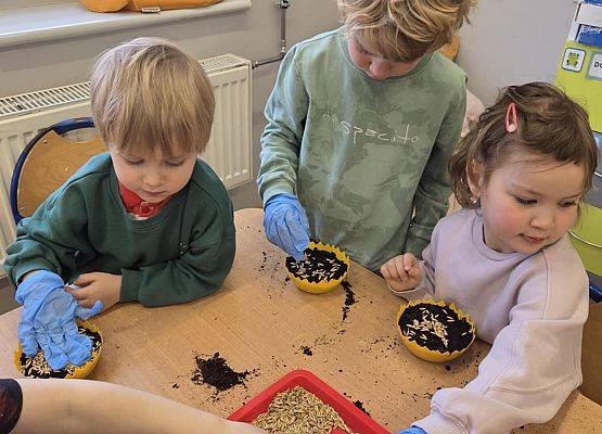 Grafika 4: Wiosenne sianie owsa w naszym przedszkolu