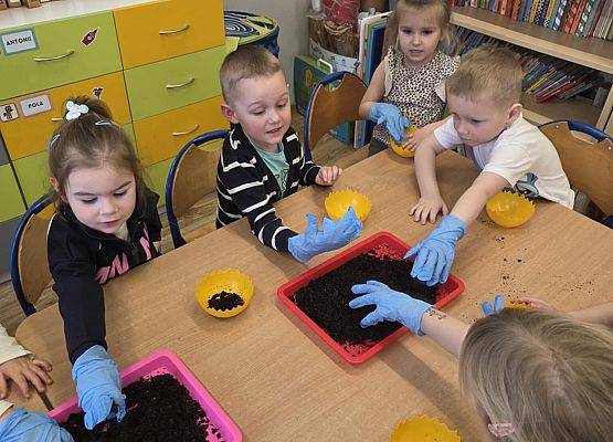 Grafika 11: Wiosenne sianie owsa w naszym przedszkolu