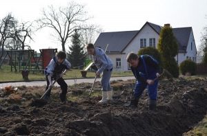 Grafika #1: Szkoła Współpracy