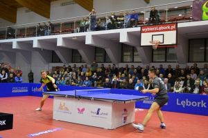 Grafika #2: Tenis stołowy. Podziwianie mistrzów