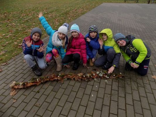 Grafika #7: Dzień Ziemniaka