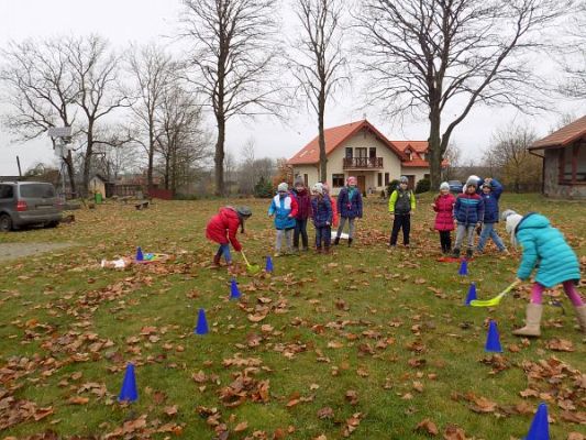 Grafika #6: Dzień Ziemniaka