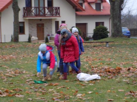 Grafika #4: Dzień Ziemniaka