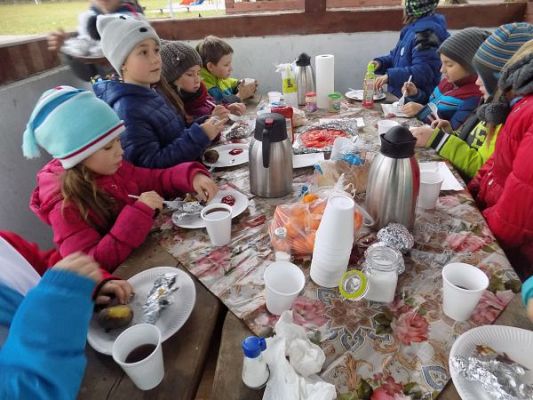 Grafika #9: Dzień Ziemniaka