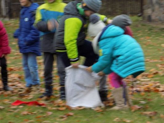 Grafika #5: Dzień Ziemniaka