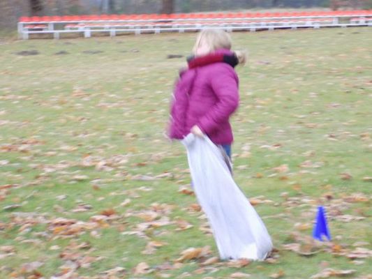 Grafika #1: Dzień Ziemniaka