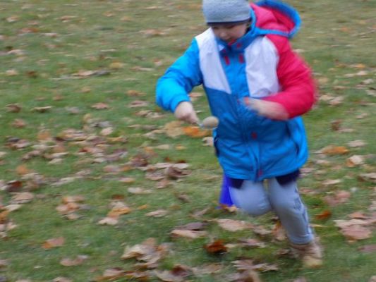 Grafika #2: Dzień Ziemniaka