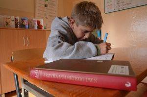 Grafika #0: ZIELONE ŚWIATŁO DLA EDUKACJI zaj. wyr. - j. polski