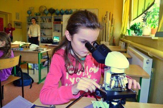 Grafika #12: Zielone Światło dla Edukacji