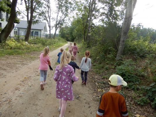 Grafika #3: Przedszkolaki sprzątają świat!