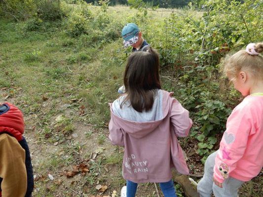 Grafika #5: Przedszkolaki sprzątają świat!