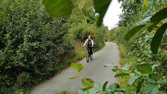 Grafika #6: Warsztaty ornitologiczne w okolicach Jeziora Sarbsko