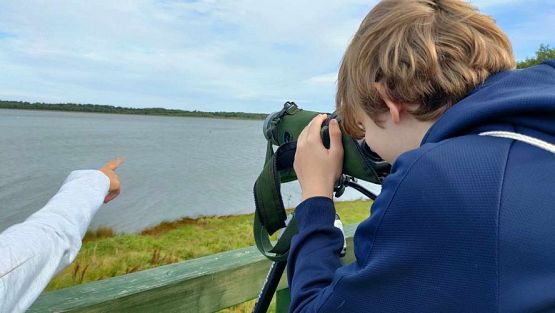 Grafika #11: Warsztaty ornitologiczne w okolicach Jeziora Sarbsko