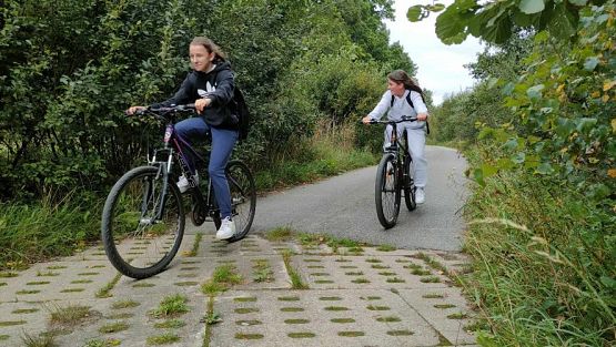 Grafika #13: Warsztaty ornitologiczne w okolicach Jeziora Sarbsko