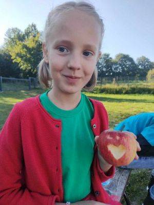 Grafika #8: Dzień Jabłka