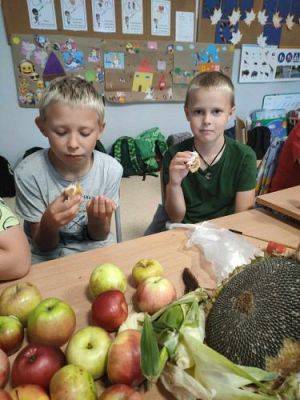 Grafika #9: Dzień Jabłka