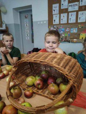 Grafika #21: Dzień Jabłka