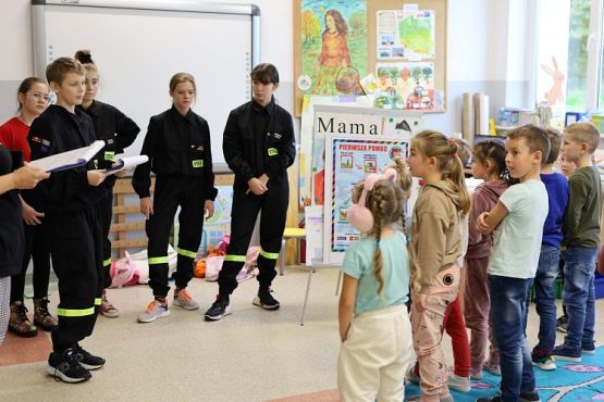 Grafika #29: Pokazy ratownictwa medycznego