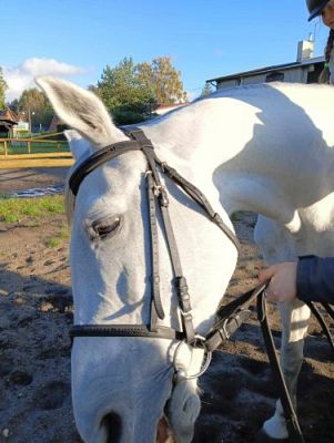 Grafika #17: Dzień Ziemniaka - klasy 1-3