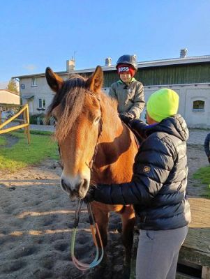 Grafika #24: Dzień Ziemniaka - klasy 1-3