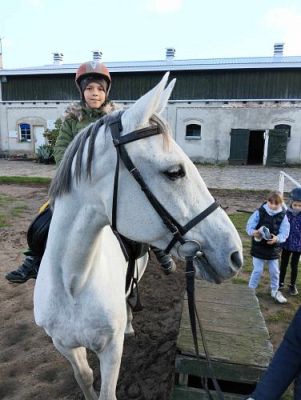 Grafika #51: Dzień Ziemniaka - klasy 1-3