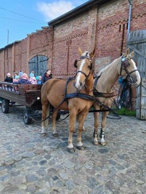 Grafika #57: Dzień Ziemniaka - klasy 1-3