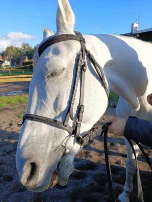 Grafika #69: Dzień Ziemniaka - klasy 1-3