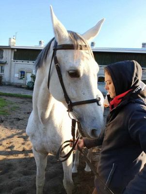 Grafika #72: Dzień Ziemniaka - klasy 1-3