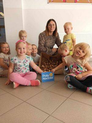 Grafika #0: Pola Nadziei - sadzimy żonkile