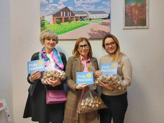 Grafika #1: Pola Nadziei - sadzimy żonkile