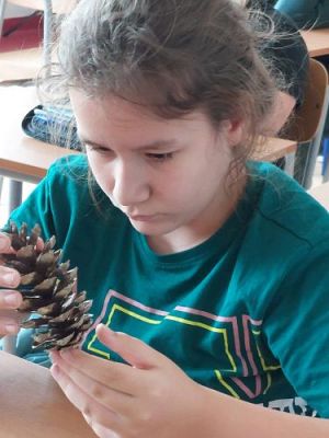 Grafika #17: Warsztaty przyrodnicze "Bałtyk, grzyby, nasiona i pająki"