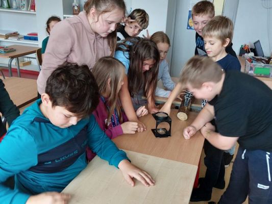 Grafika #22: Warsztaty przyrodnicze "Bałtyk, grzyby, nasiona i pająki"