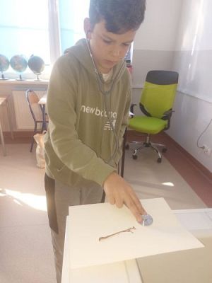 Grafika #6: Zajęcia przyrodnicze "Bałtyk" i "Dzień Dżdżownicy"