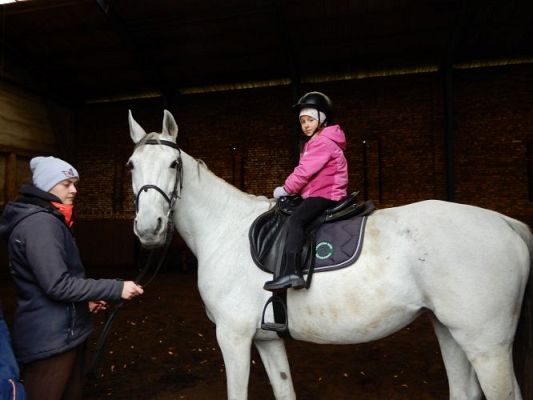 Grafika #6: Przedszkolaki w Stadninie Koni w Nowęcinie