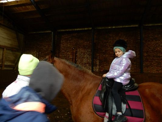 Grafika #15: Przedszkolaki w Stadninie Koni w Nowęcinie