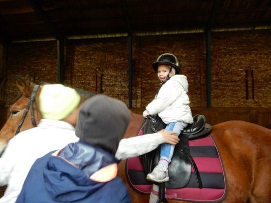 Grafika #20: Przedszkolaki w Stadninie Koni w Nowęcinie