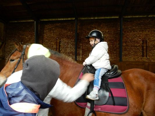 Grafika #21: Przedszkolaki w Stadninie Koni w Nowęcinie