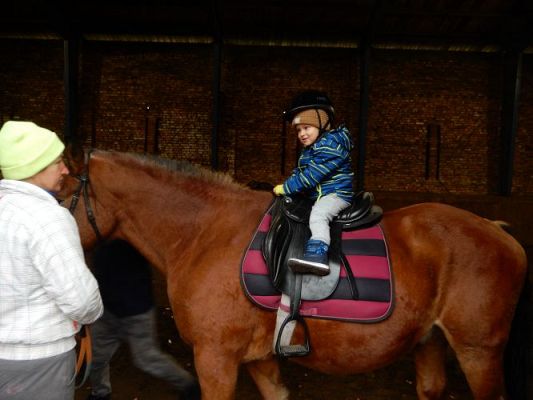 Grafika #29: Przedszkolaki w Stadninie Koni w Nowęcinie