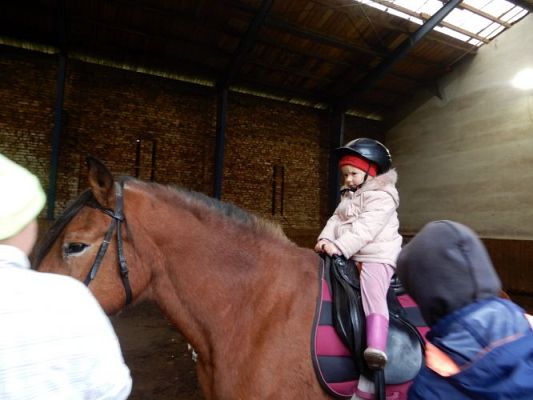 Grafika #34: Przedszkolaki w Stadninie Koni w Nowęcinie