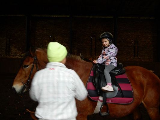 Grafika #44: Przedszkolaki w Stadninie Koni w Nowęcinie